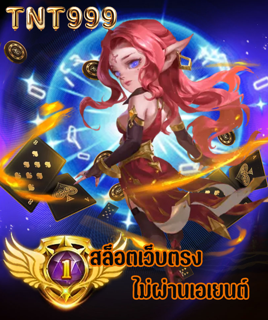 tnt999 ทางเข้า